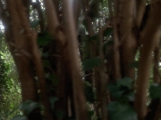 Filename=extant_StarTrekVoyager_4x04-Nemesis_4412.jpg
Filesize=152KiB
Dimensions=1200x900
Date added=May 30, 2018 extant_StarTrekVoyager_4x04-Nemesis_4412.jpg
