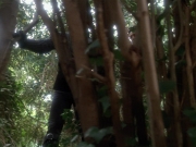 Filename=extant_StarTrekVoyager_4x04-Nemesis_4413.jpg
Filesize=176KiB
Dimensions=1200x900
Date added=May 30, 2018 extant_StarTrekVoyager_4x04-Nemesis_4413.jpg