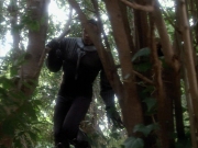 Filename=extant_StarTrekVoyager_4x04-Nemesis_4414.jpg
Filesize=191KiB
Dimensions=1200x900
Date added=May 30, 2018 extant_StarTrekVoyager_4x04-Nemesis_4414.jpg