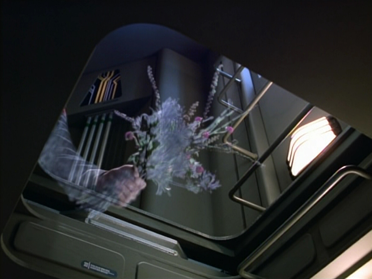 extant_StarTrek_VOY_4x07-ScientificMethod_00333.jpg