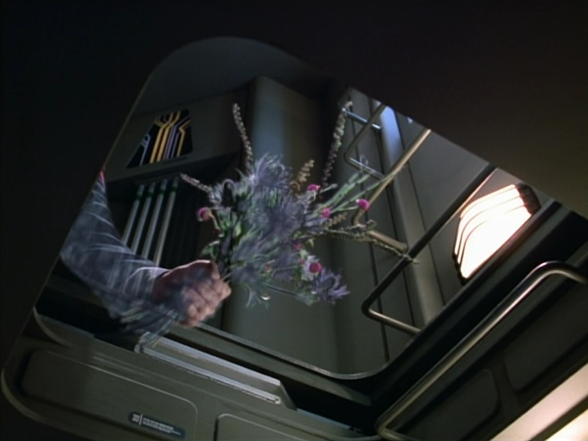 extant_StarTrek_VOY_4x07-ScientificMethod_00334.jpg