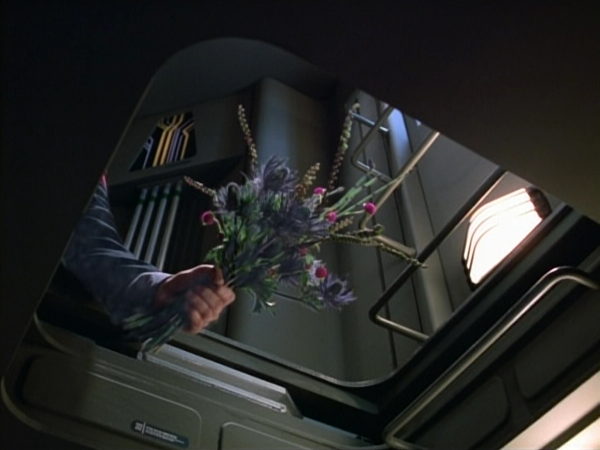 extant_StarTrek_VOY_4x07-ScientificMethod_00335.jpg
