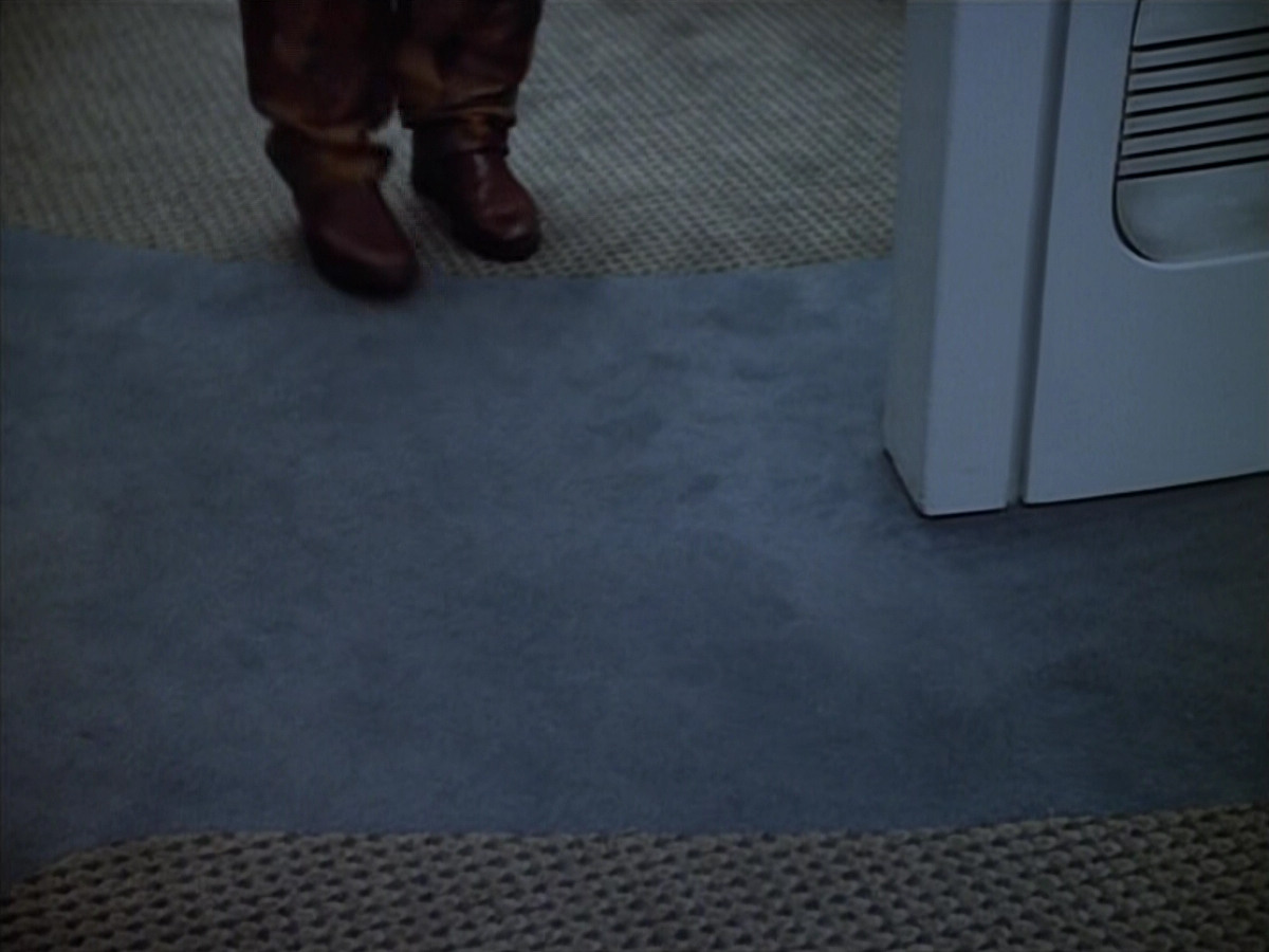 extant_StarTrek_VOY_4x07-ScientificMethod_01634.jpg