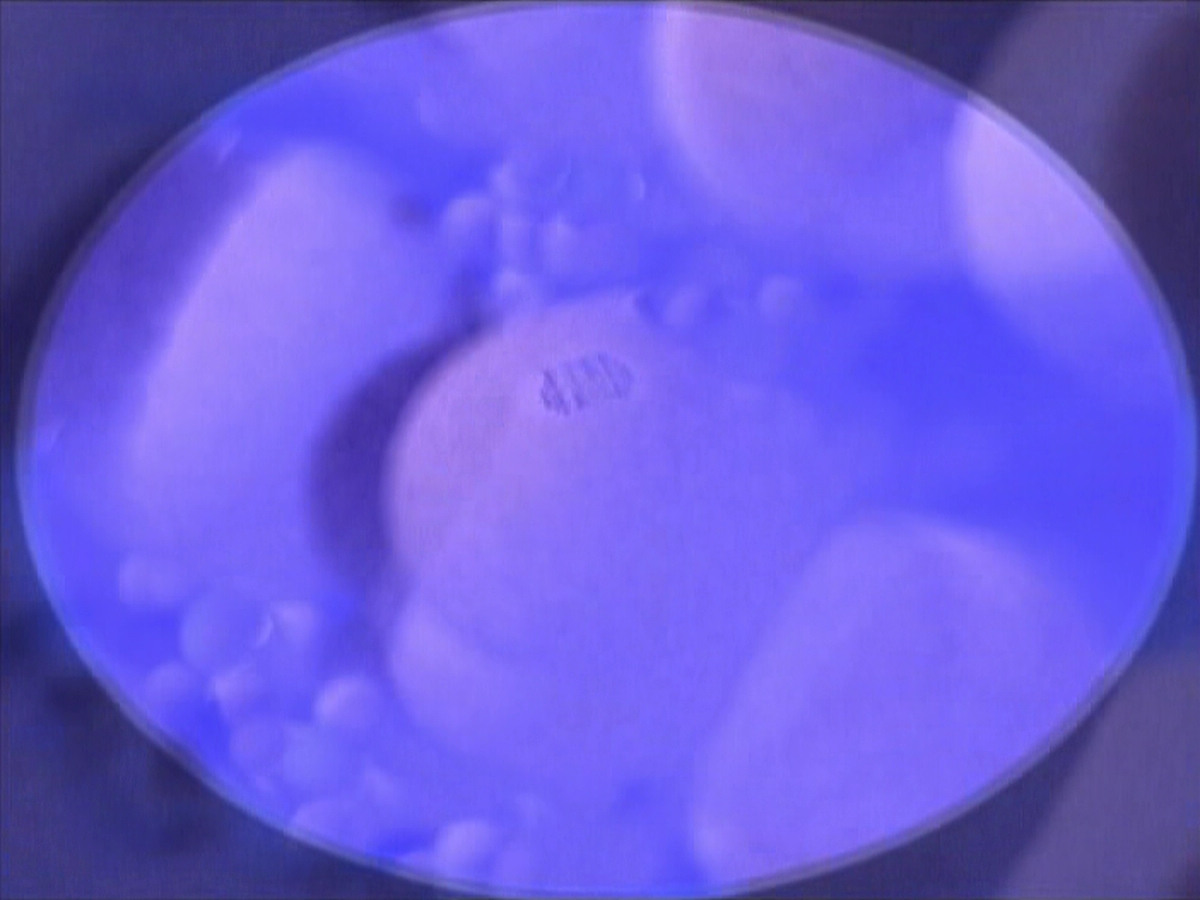 extant_StarTrek_VOY_4x07-ScientificMethod_01847.jpg