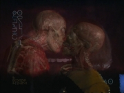 Filename=extant_StarTrek_VOY_4x07-ScientificMethod_00397.jpg
Filesize=123KiB
Dimensions=1200x900
Date added=Aug 20, 2019 extant_StarTrek_VOY_4x07-ScientificMethod_00397.jpg