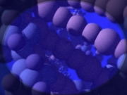 Filename=extant_StarTrek_VOY_4x07-ScientificMethod_01824.jpg
Filesize=151KiB
Dimensions=1200x900
Date added=Aug 20, 2019 extant_StarTrek_VOY_4x07-ScientificMethod_01824.jpg