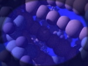 Filename=extant_StarTrek_VOY_4x07-ScientificMethod_01825.jpg
Filesize=159KiB
Dimensions=1200x900
Date added=Aug 20, 2019 extant_StarTrek_VOY_4x07-ScientificMethod_01825.jpg
