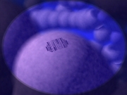 Filename=extant_StarTrek_VOY_4x07-ScientificMethod_01881.jpg
Filesize=146KiB
Dimensions=1200x900
Date added=Aug 20, 2019 extant_StarTrek_VOY_4x07-ScientificMethod_01881.jpg