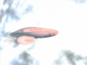Filename=extant_StarTrek_VOY_4x07-ScientificMethod_03901.jpg
Filesize=101KiB
Dimensions=1200x900
Date added=Aug 20, 2019 extant_StarTrek_VOY_4x07-ScientificMethod_03901.jpg