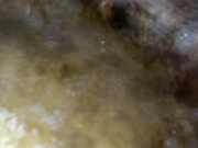 Filename=extant_StarTrek_VOY_4x08-YearOfHellPart1_00276.jpg
Filesize=120KiB
Dimensions=1200x900
Date added=Aug 31, 2019 extant_StarTrek_VOY_4x08-YearOfHellPart1_00276.jpg