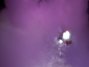 Filename=extant_StarTrek_VOY_4x09-YearOfHellPart2_00143.jpg
Filesize=122KiB
Dimensions=1200x900
Date added=Aug 31, 2019 extant_StarTrek_VOY_4x09-YearOfHellPart2_00143.jpg