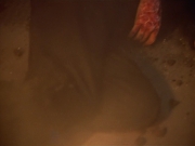 extant_StarTrek_VOY_4x09-YearOfHellPart2_01630.jpg