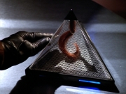 extant_StarTrek_VOY_4x09-YearOfHellPart2_02571.jpg