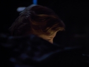 Filename=extant_StarTrek_VOY_4x09-YearOfHellPart2_03452.jpg
Filesize=101KiB
Dimensions=1200x900
Date added=Aug 31, 2019 extant_StarTrek_VOY_4x09-YearOfHellPart2_03452.jpg