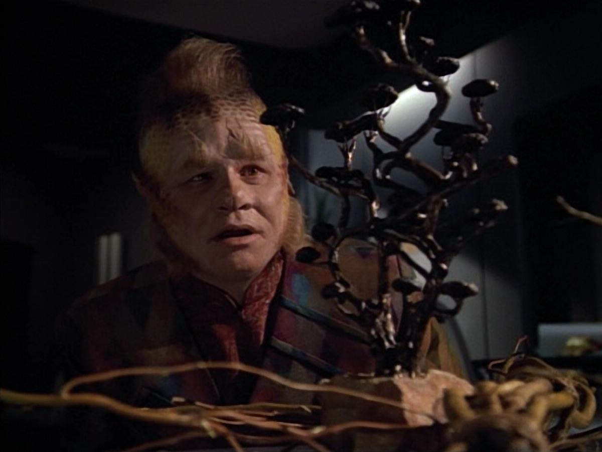 extant_StarTrek_VOY_4x12-MortalCoil_01404.jpg