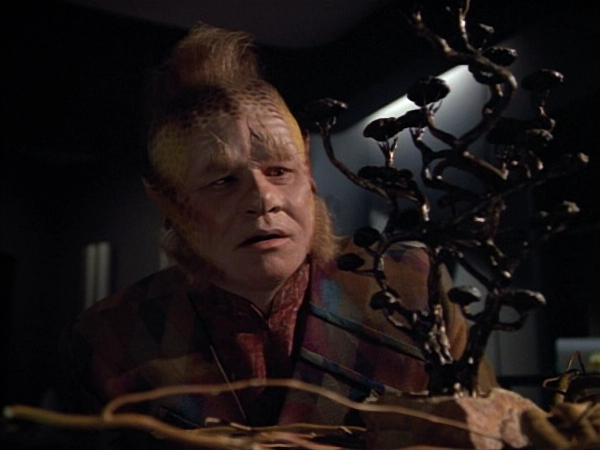 extant_StarTrek_VOY_4x12-MortalCoil_01412.jpg