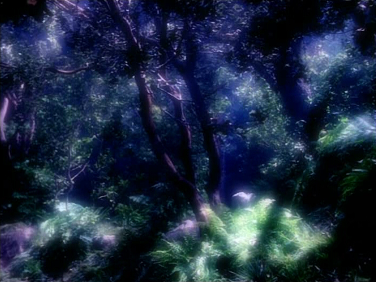 extant_StarTrek_VOY_4x12-MortalCoil_02833.jpg