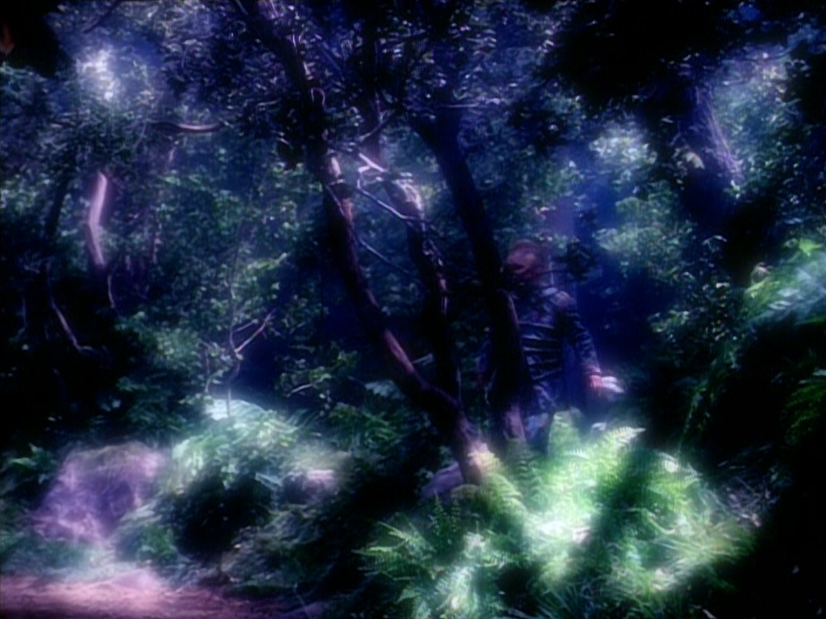 extant_StarTrek_VOY_4x12-MortalCoil_02838.jpg