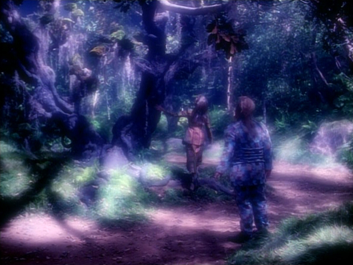extant_StarTrek_VOY_4x12-MortalCoil_02851.jpg