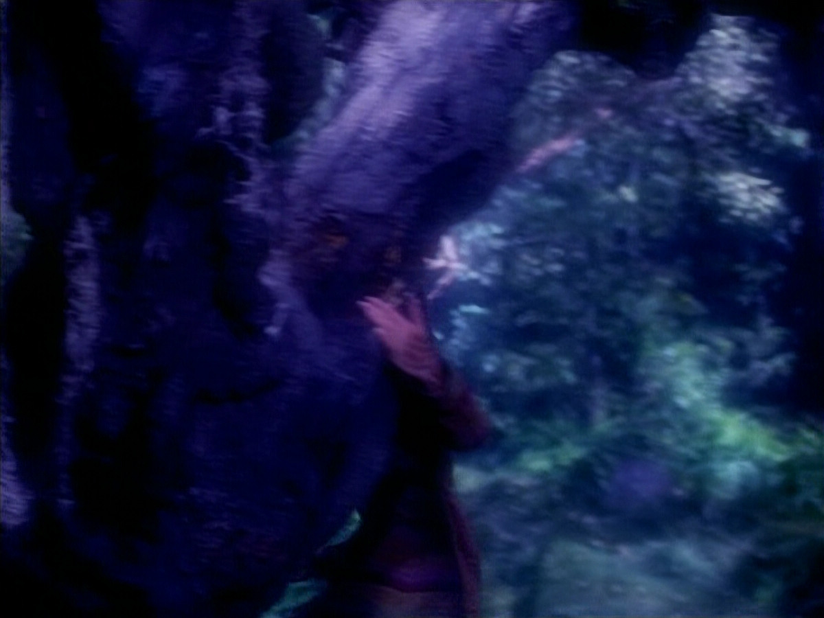 extant_StarTrek_VOY_4x12-MortalCoil_02880.jpg