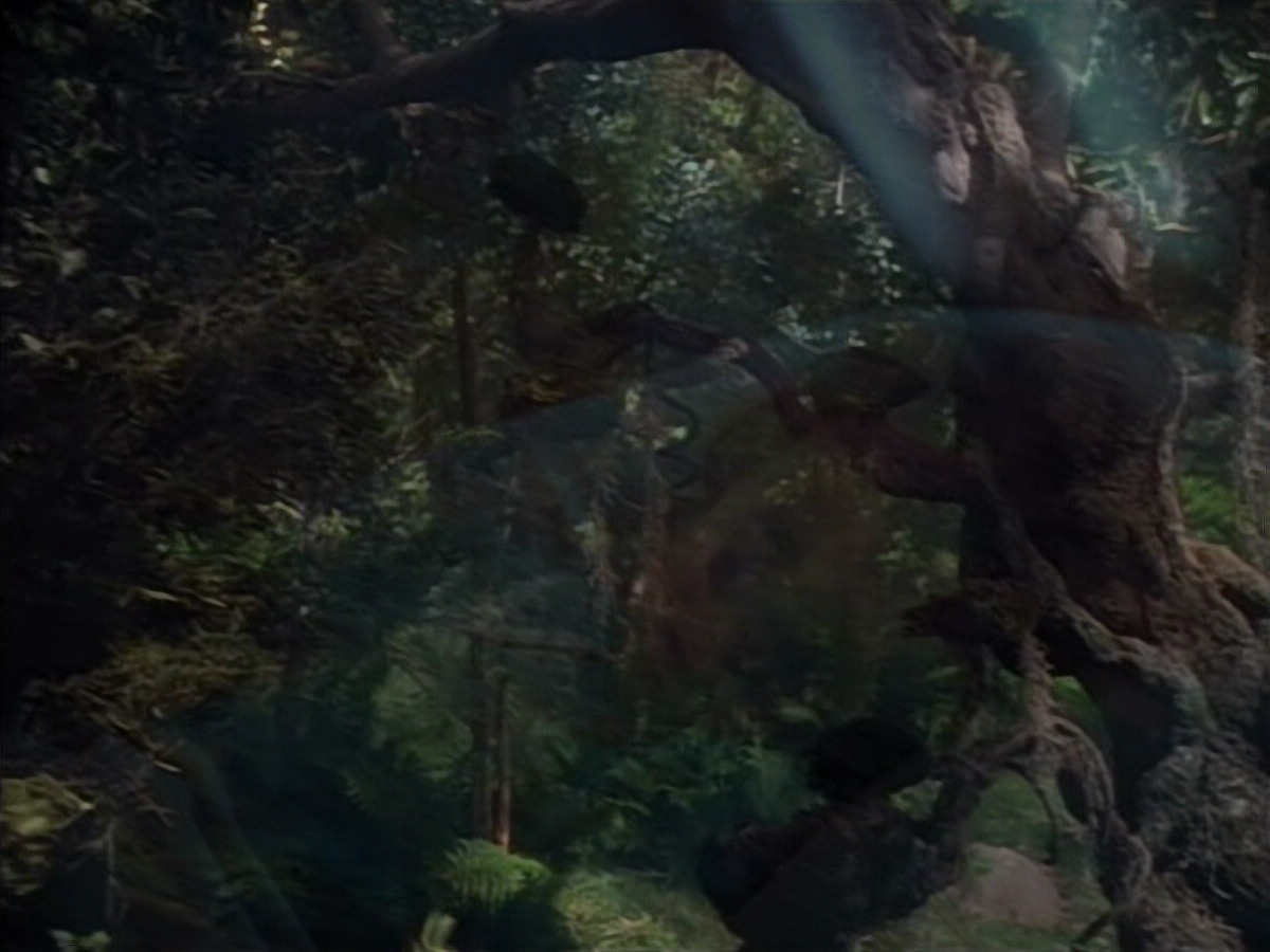 extant_StarTrek_VOY_4x12-MortalCoil_03802.jpg