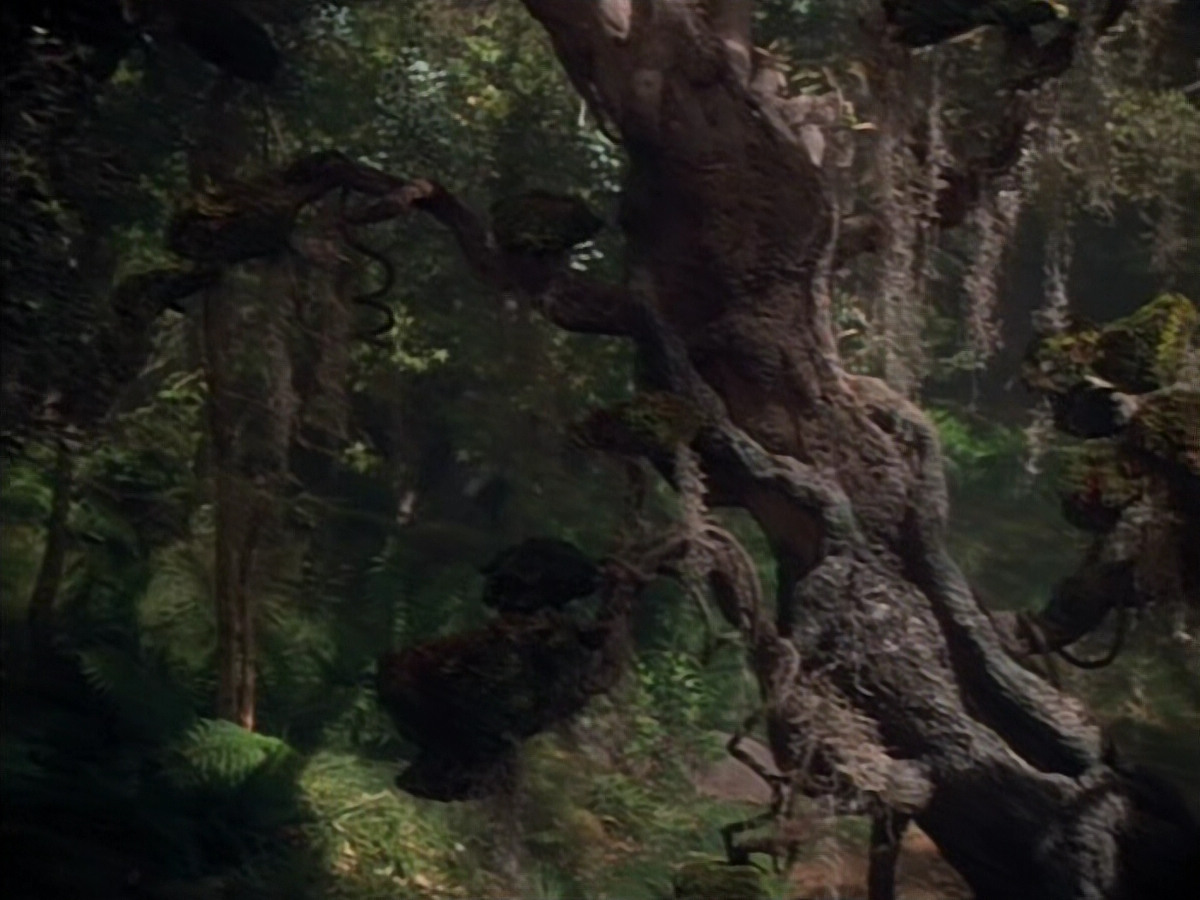 extant_StarTrek_VOY_4x12-MortalCoil_03804.jpg