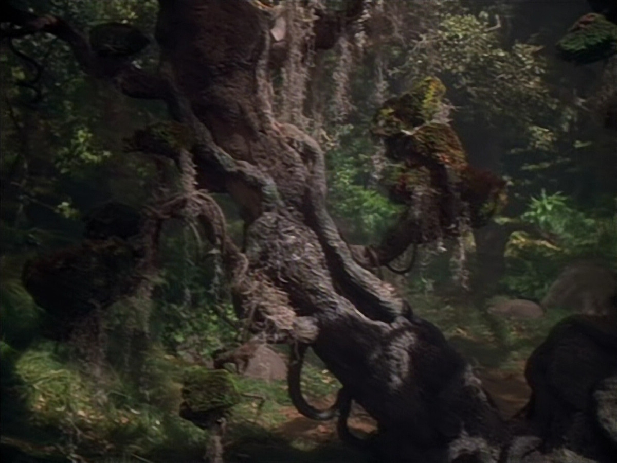 extant_StarTrek_VOY_4x12-MortalCoil_03806.jpg