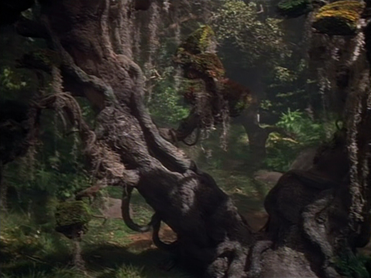 extant_StarTrek_VOY_4x12-MortalCoil_03807.jpg