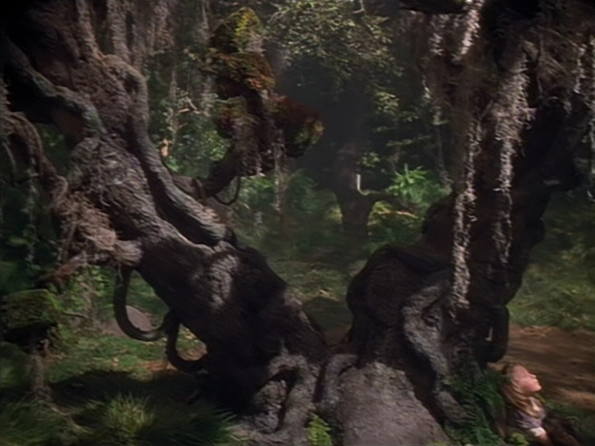 extant_StarTrek_VOY_4x12-MortalCoil_03808.jpg