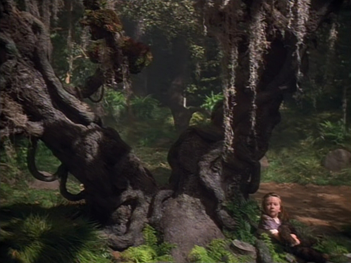 extant_StarTrek_VOY_4x12-MortalCoil_03809.jpg