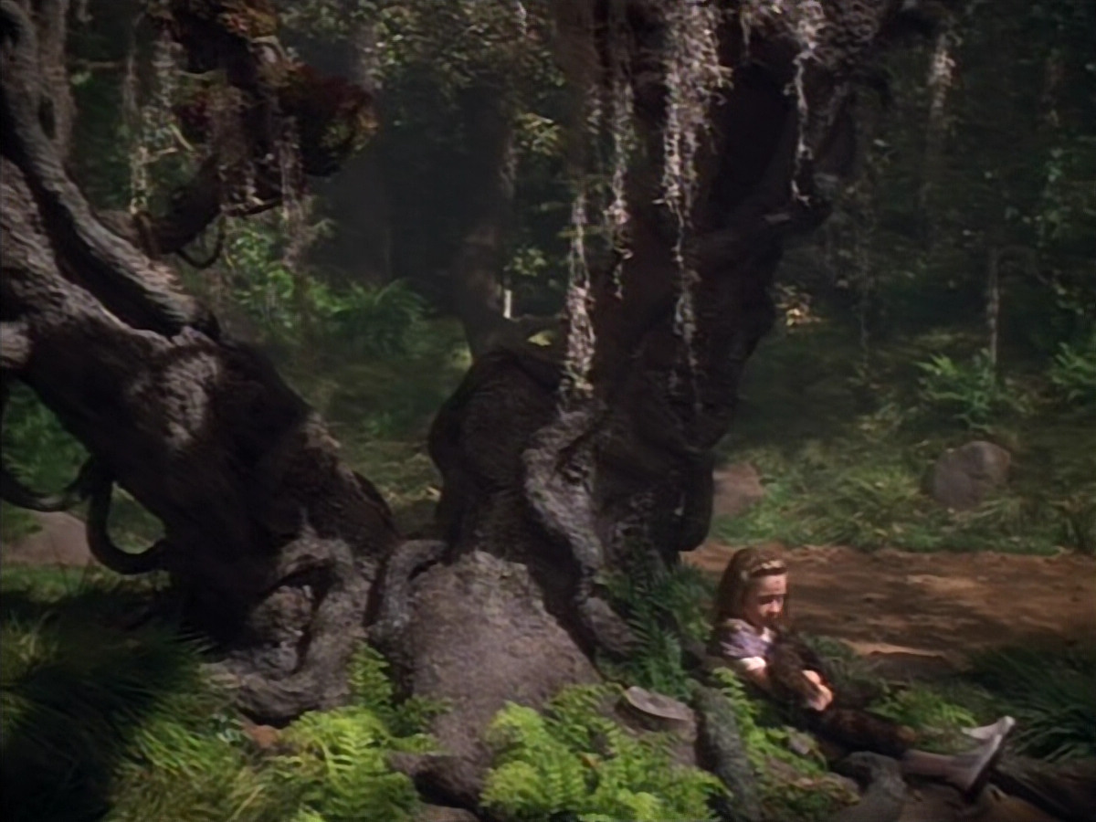 extant_StarTrek_VOY_4x12-MortalCoil_03810.jpg