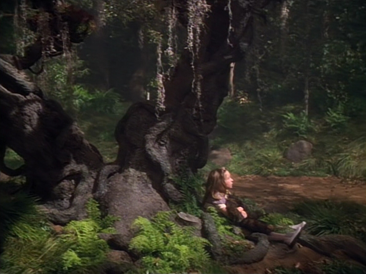 extant_StarTrek_VOY_4x12-MortalCoil_03811.jpg