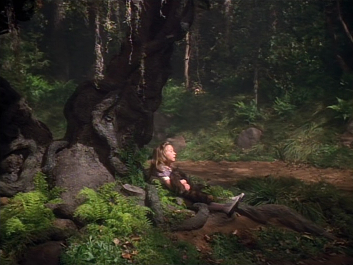 extant_StarTrek_VOY_4x12-MortalCoil_03813.jpg