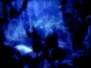 Filename=extant_StarTrek_VOY_4x12-MortalCoil_02959.jpg
Filesize=164KiB
Dimensions=1200x900
Date added=Sep 14, 2019 extant_StarTrek_VOY_4x12-MortalCoil_02959.jpg