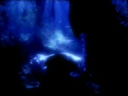 Filename=extant_StarTrek_VOY_4x12-MortalCoil_02966.jpg
Filesize=111KiB
Dimensions=1200x900
Date added=Sep 14, 2019 extant_StarTrek_VOY_4x12-MortalCoil_02966.jpg
