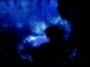 Filename=extant_StarTrek_VOY_4x12-MortalCoil_02967.jpg
Filesize=117KiB
Dimensions=1200x900
Date added=Sep 14, 2019 extant_StarTrek_VOY_4x12-MortalCoil_02967.jpg