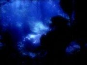 Filename=extant_StarTrek_VOY_4x12-MortalCoil_02968.jpg
Filesize=120KiB
Dimensions=1200x900
Date added=Sep 14, 2019 extant_StarTrek_VOY_4x12-MortalCoil_02968.jpg