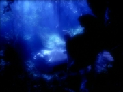 Filename=extant_StarTrek_VOY_4x12-MortalCoil_02969.jpg
Filesize=127KiB
Dimensions=1200x900
Date added=Sep 14, 2019 extant_StarTrek_VOY_4x12-MortalCoil_02969.jpg