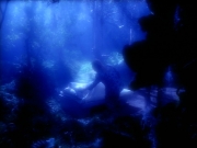 Filename=extant_StarTrek_VOY_4x12-MortalCoil_02971.jpg
Filesize=140KiB
Dimensions=1200x900
Date added=Sep 14, 2019 extant_StarTrek_VOY_4x12-MortalCoil_02971.jpg