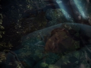 Filename=extant_StarTrek_VOY_4x12-MortalCoil_03801.jpg
Filesize=152KiB
Dimensions=1200x900
Date added=Sep 14, 2019 extant_StarTrek_VOY_4x12-MortalCoil_03801.jpg