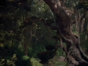 Filename=extant_StarTrek_VOY_4x12-MortalCoil_03803.jpg
Filesize=194KiB
Dimensions=1200x900
Date added=Sep 14, 2019 extant_StarTrek_VOY_4x12-MortalCoil_03803.jpg