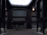 extant_StarTrek_VOY_4x13-WakingMoments_01510.jpg