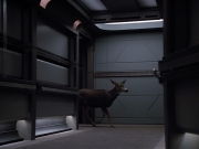 extant_StarTrek_VOY_4x13-WakingMoments_01527.jpg