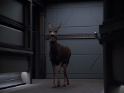 extant_StarTrek_VOY_4x13-WakingMoments_01530.jpg