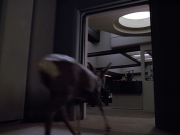 extant_StarTrek_VOY_4x13-WakingMoments_01537.jpg