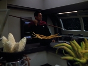 extant_StarTrek_VOY_4x13-WakingMoments_01554.jpg
