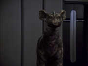 extant_StarTrek_VOY_4x13-WakingMoments_01584.jpg