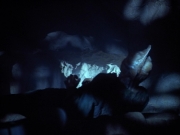 extant_StarTrek_VOY_4x13-WakingMoments_03616.jpg