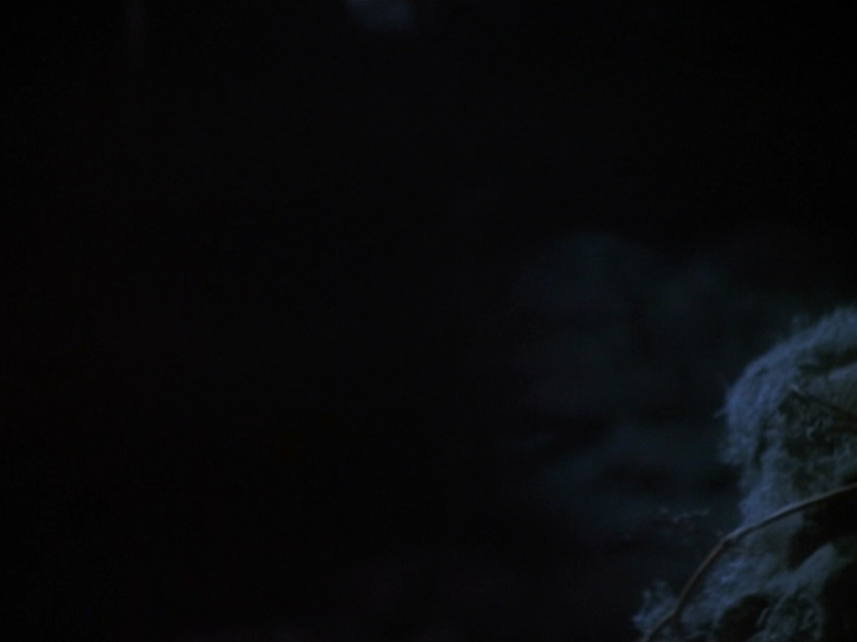 extant_StarTrekVOY_4x19-TheKillingGamePart2_01560.jpg