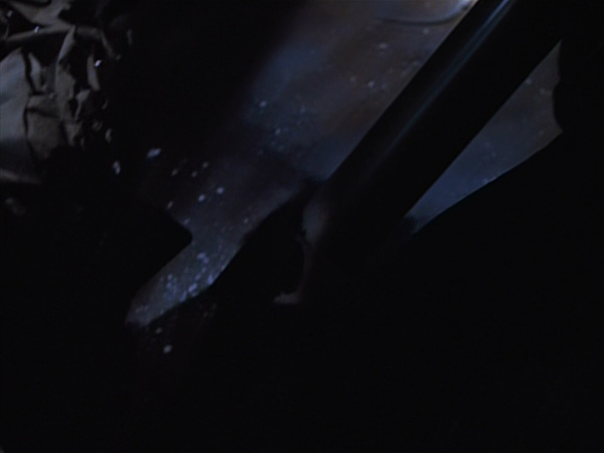 extant_StarTrekVOY_4x22-Unforgettable_00479.jpg